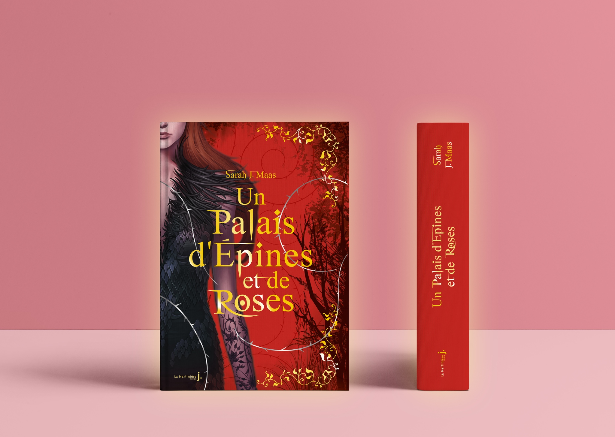 Un Palais D épines Et De Roses Tome 1 Ebook Gratuit