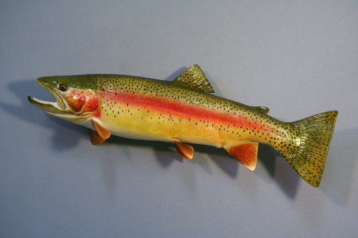 Dennis Arp Custom... - Dennis Arp Custom Fish Reproductions