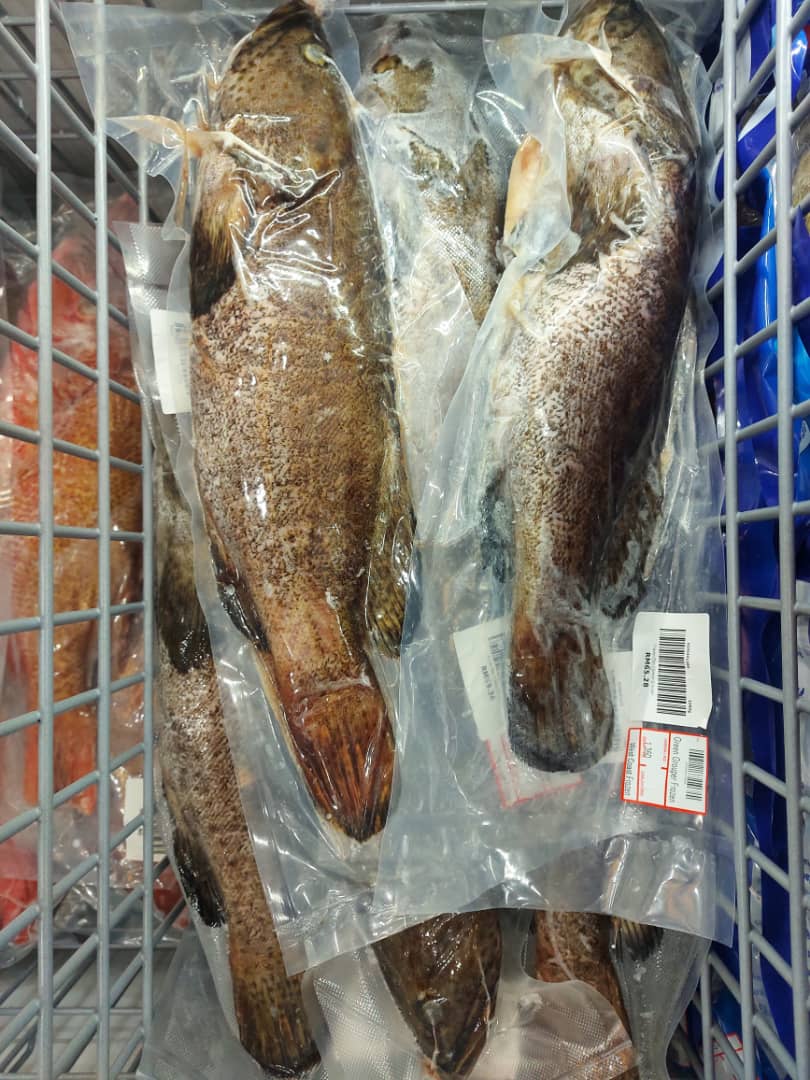 Are you a fan of eating seafoods? Look no more. Straight from our fish ...