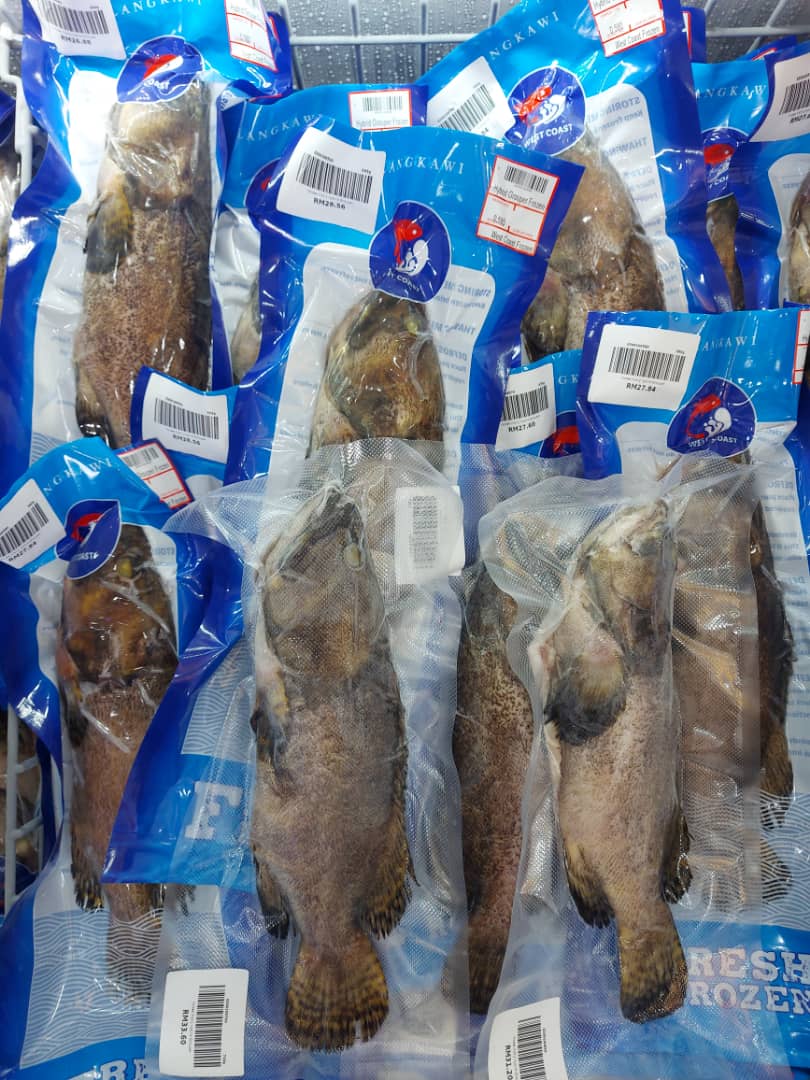 Are you a fan of eating seafoods? Look no more. Straight from our fish ...