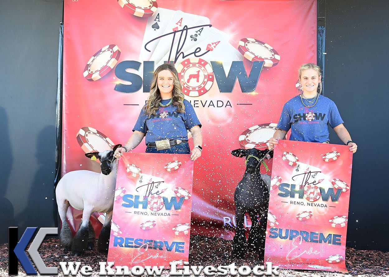 The Show Reno - Our official photographer killed it!!!... | Facebook