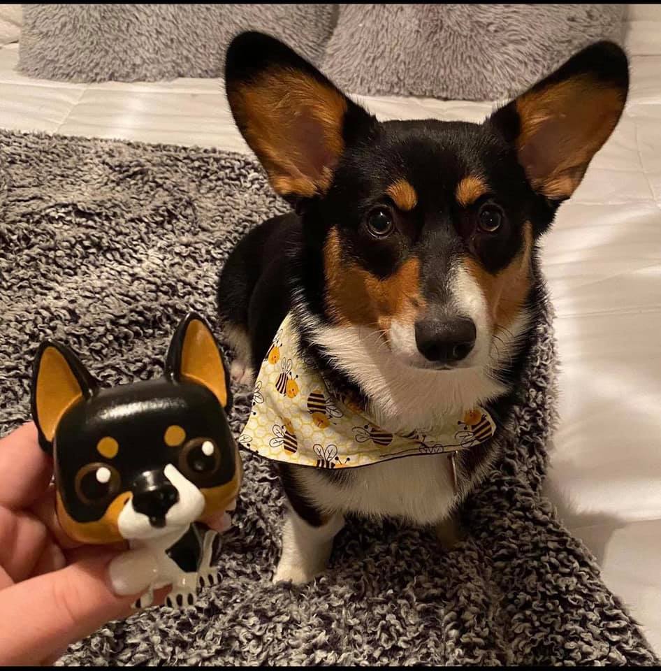 Corgi classic 1997 ,4000 pieces made .👌