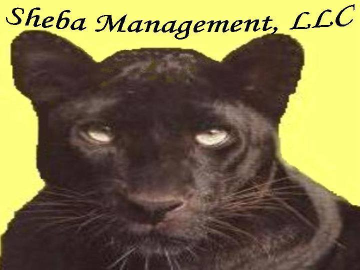 Sheba Management LLC