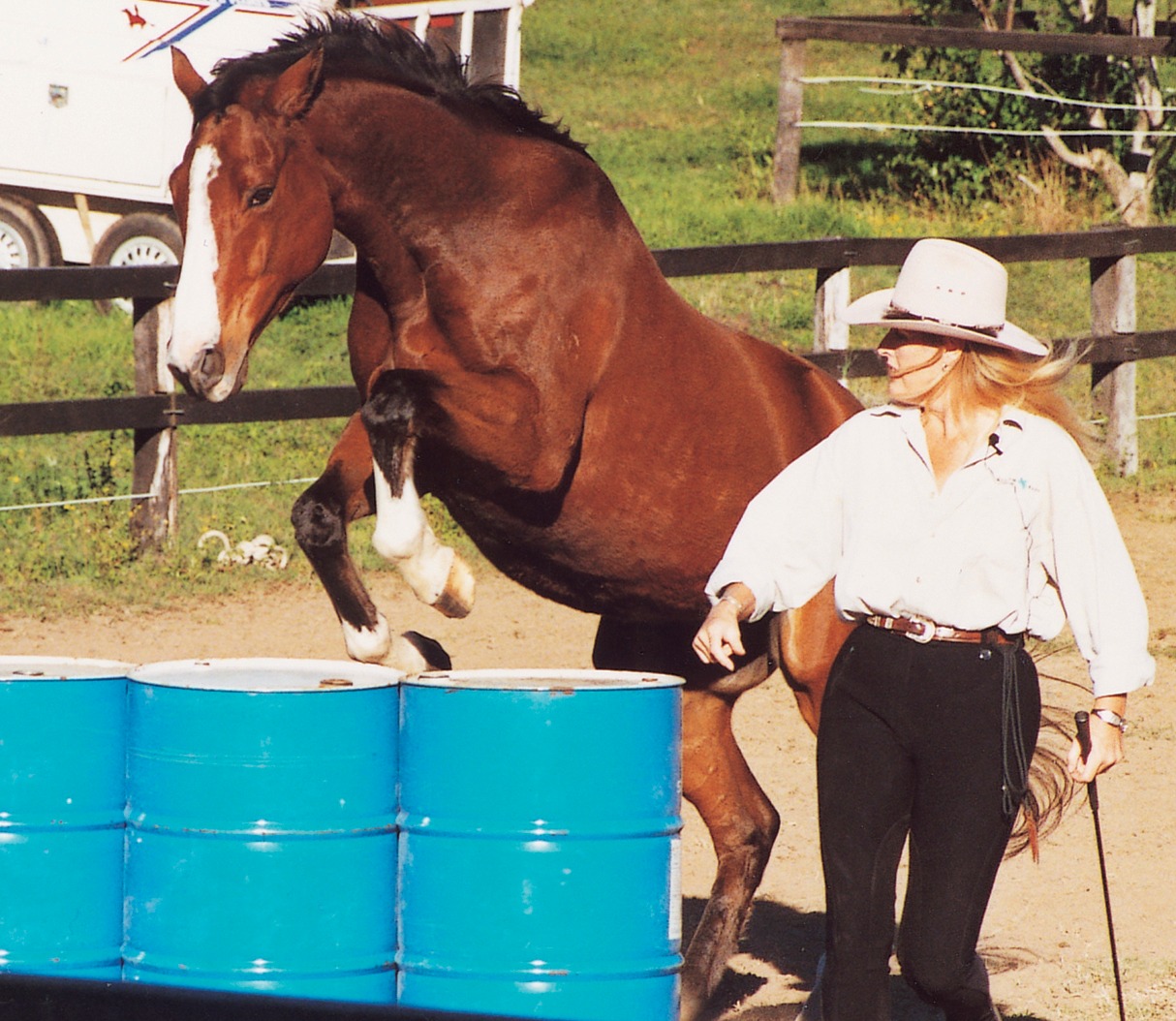 Virtual Liberty Clinic with Meredith Ransley