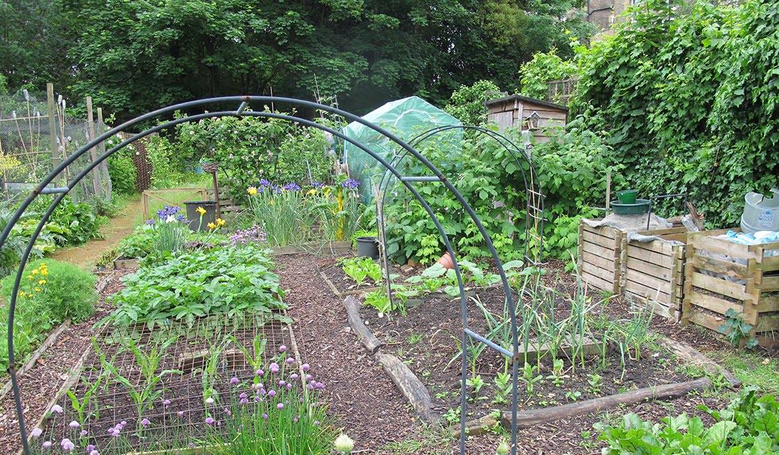 Eynon Street Allotment Association | Facebook