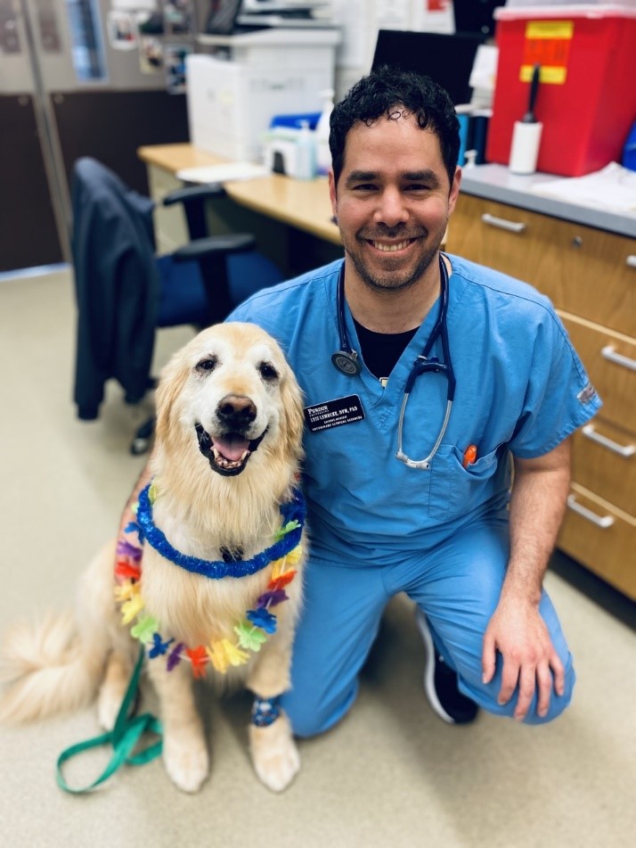 Crestwood Animal Clinic | Crestwood IL