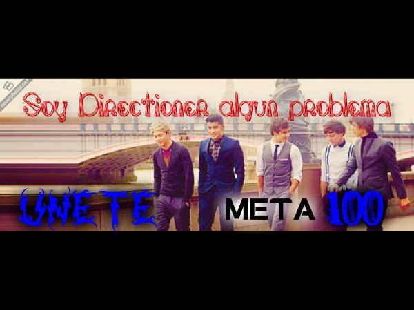 Soy Directioner algun problema