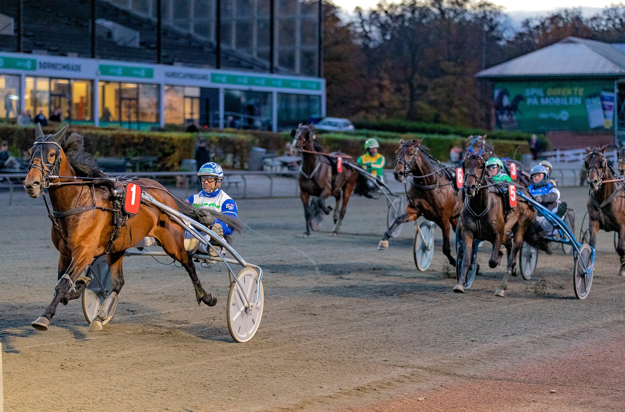Team Bo Westergaard Danmark