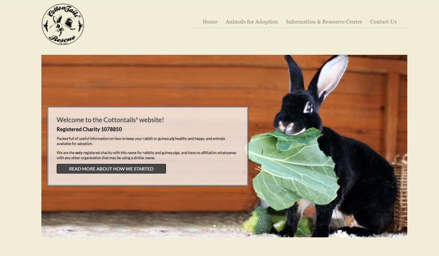 The Official CottonTails Rescue, Westbury, Wiltshire | Westbury