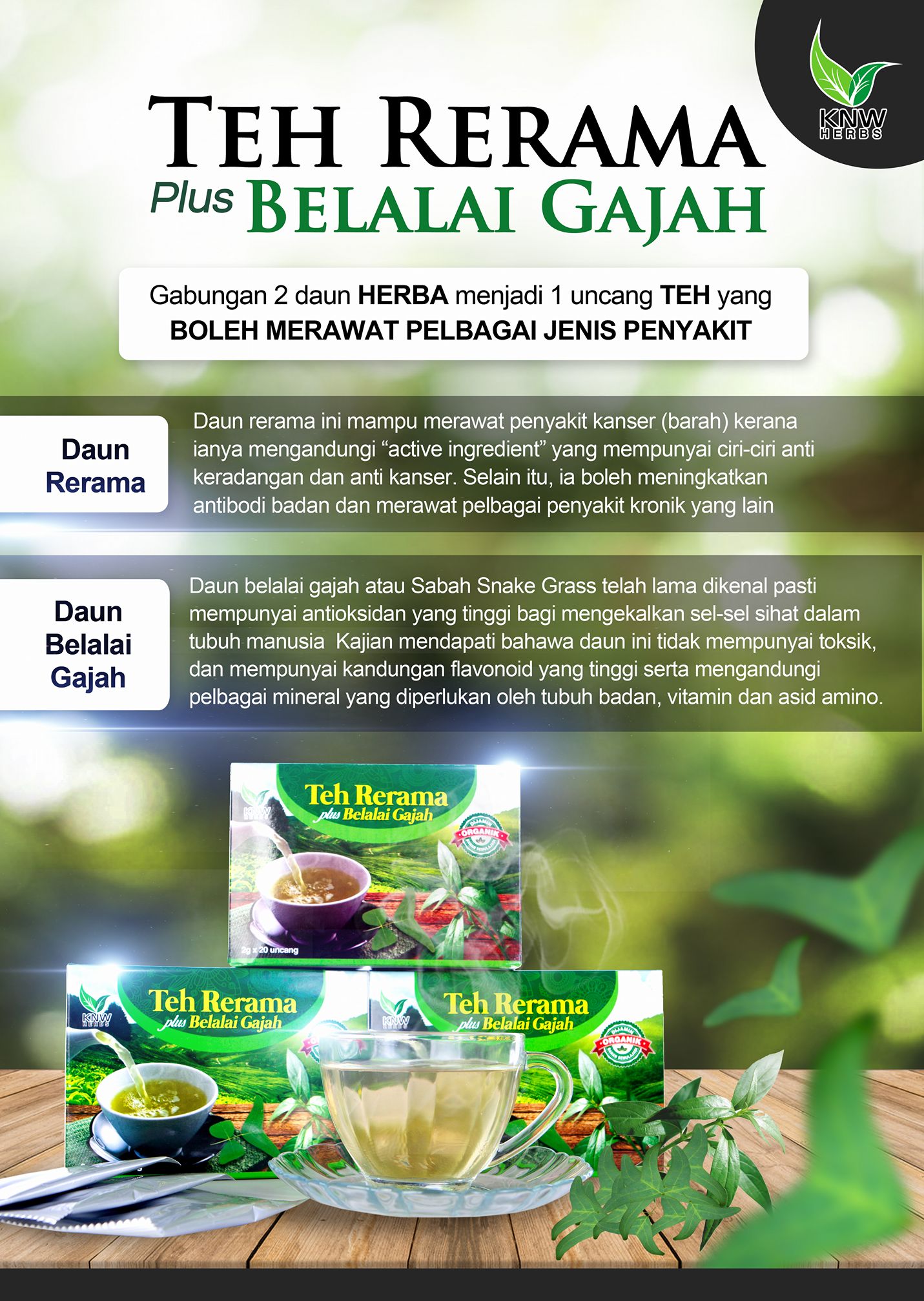 Teh Rerama Plus Belalai Gajah