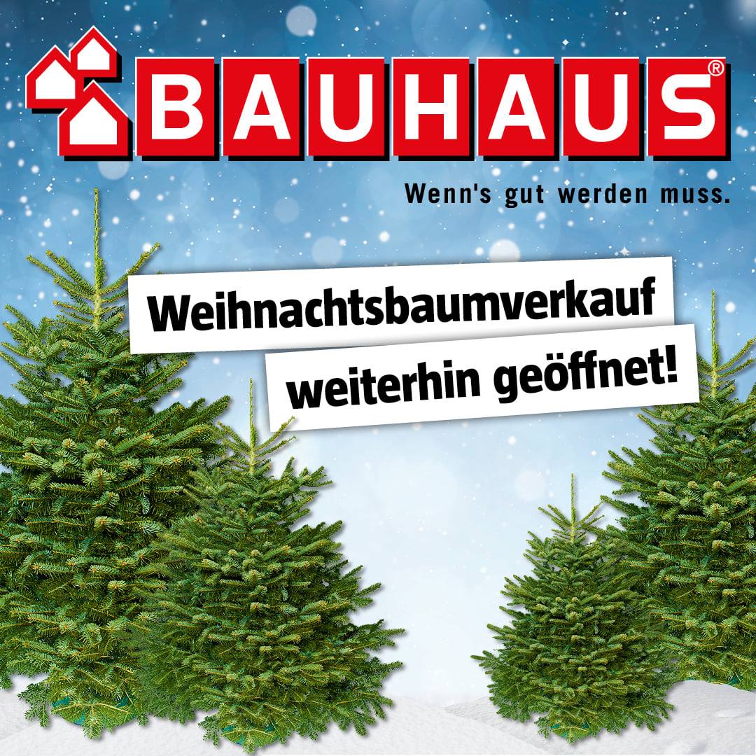 BAUHAUS - Weihnachten ohne Baum