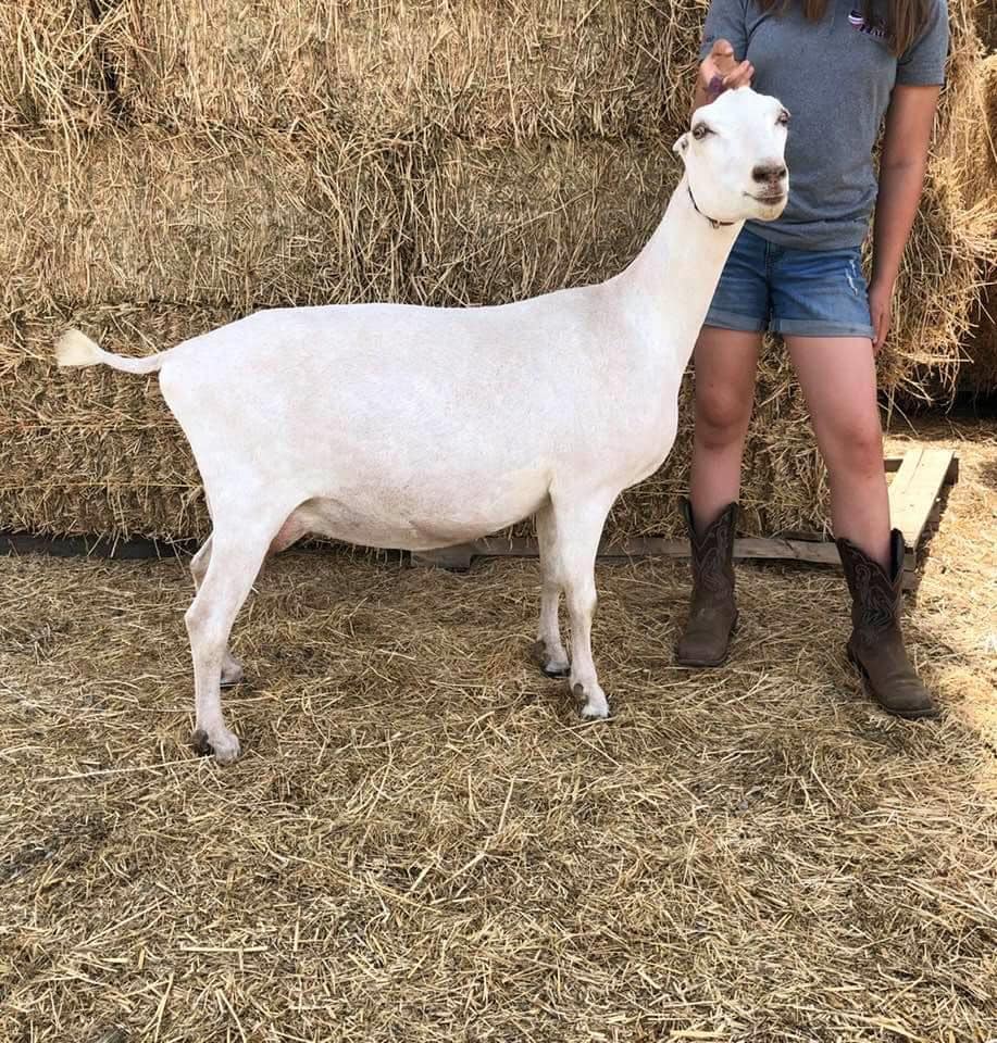 Blue Moon Ranch | Gavilan Hills CA
