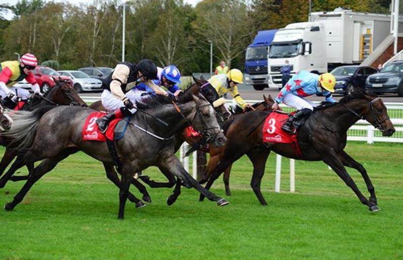 Danny Murphy Racing | Kildare