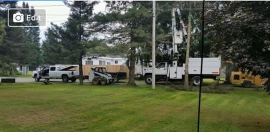 Above and Beyond Tree and Stump Removal | Bouckville NY