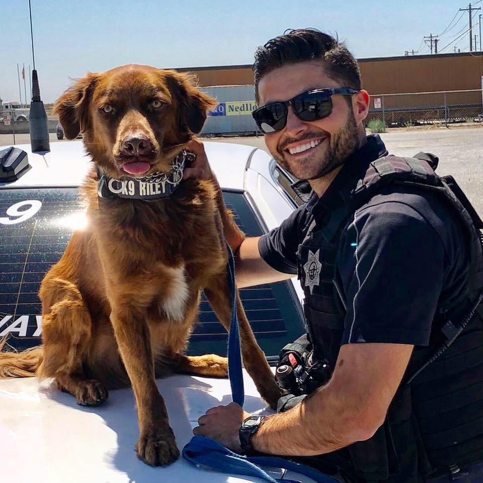 K9 Riley