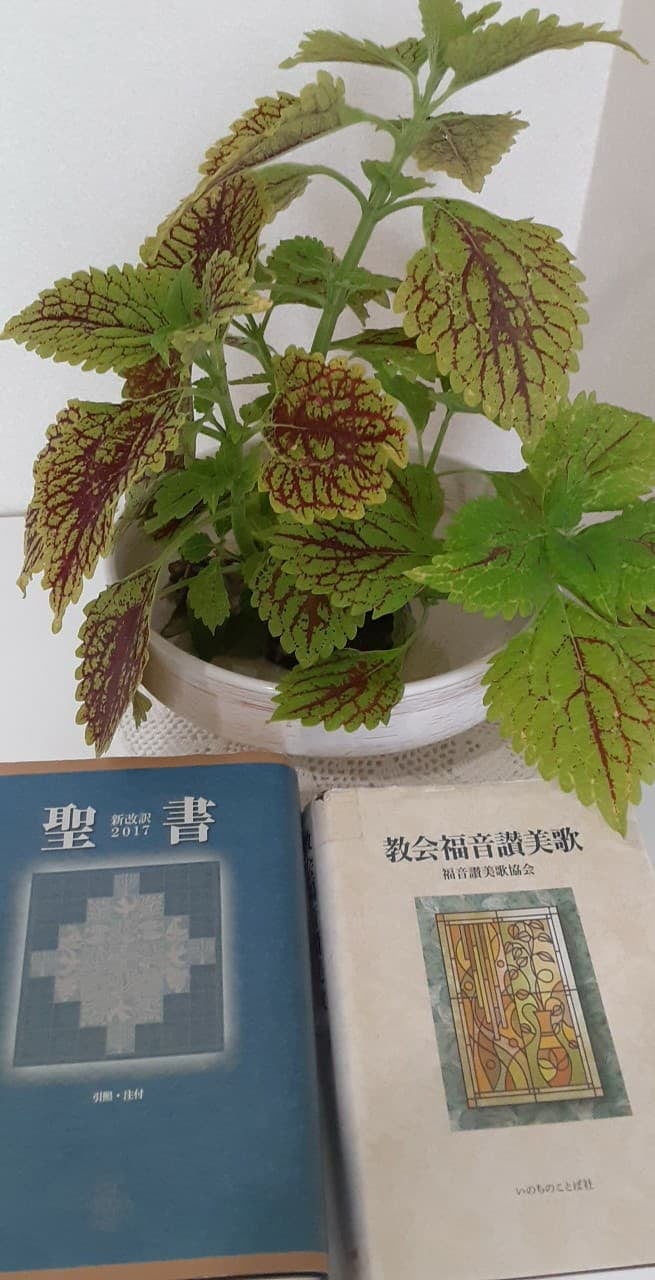 昭和町キリスト教会 Home Facebook