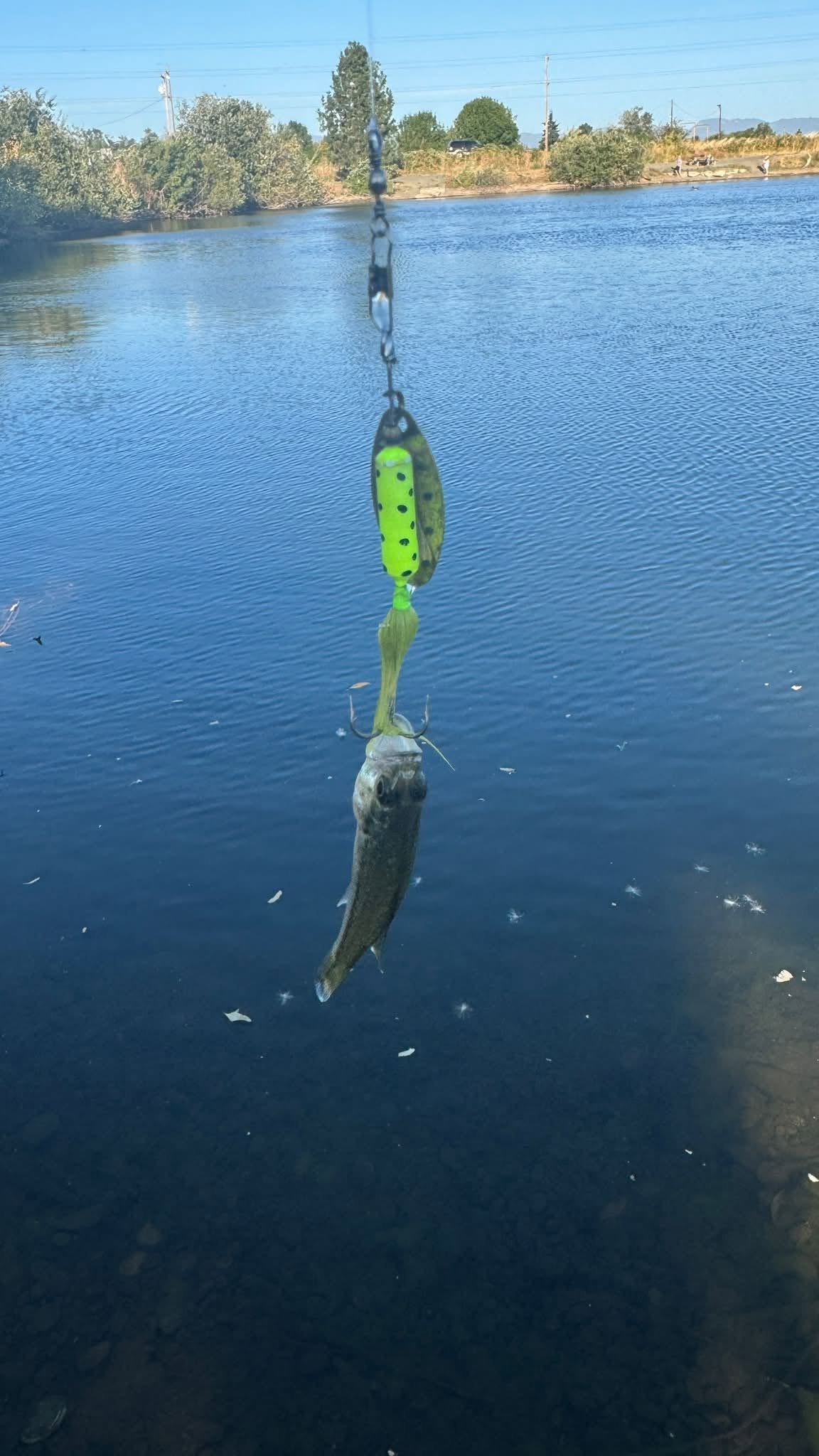 different kinds of tackle boxes for fishing Mystery Box Elite Bass Kit Color:HYBRID Green Pumpkin colored design ensures your Stencils AMPD Marine Tackle Tray