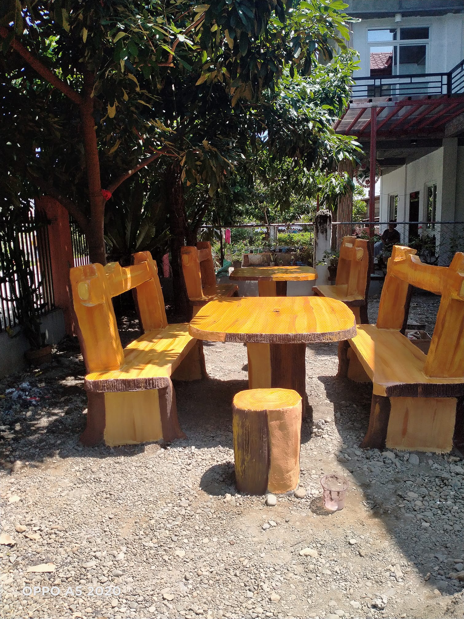 Zone 3 Gardening | Facebook