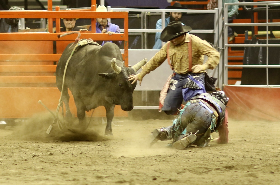 Rodeo 4 Life