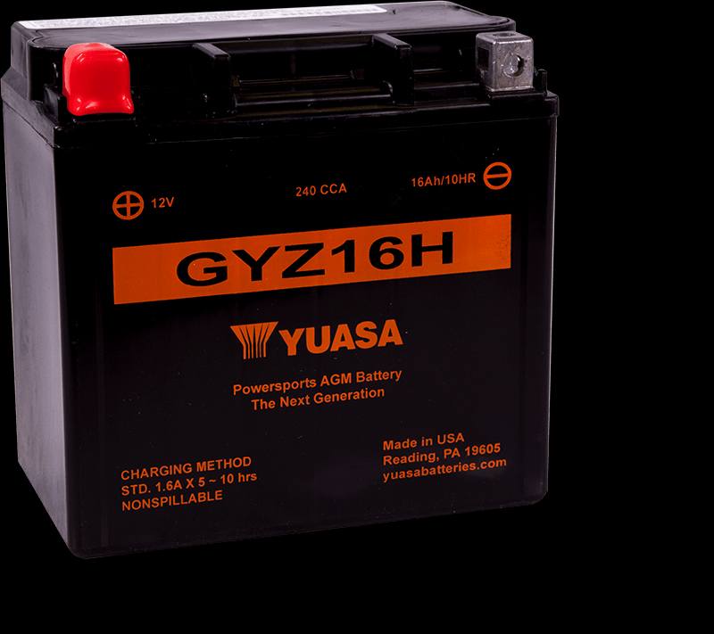 Interstate YTX14-BS battery for 2019 Honda Foreman ES EPS?