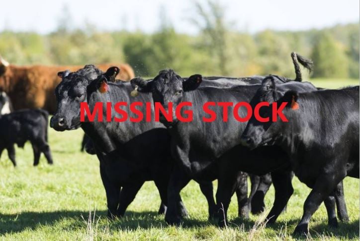 Rural Crime Prevention Team - NSW Police Force - Missing Cattle at ...