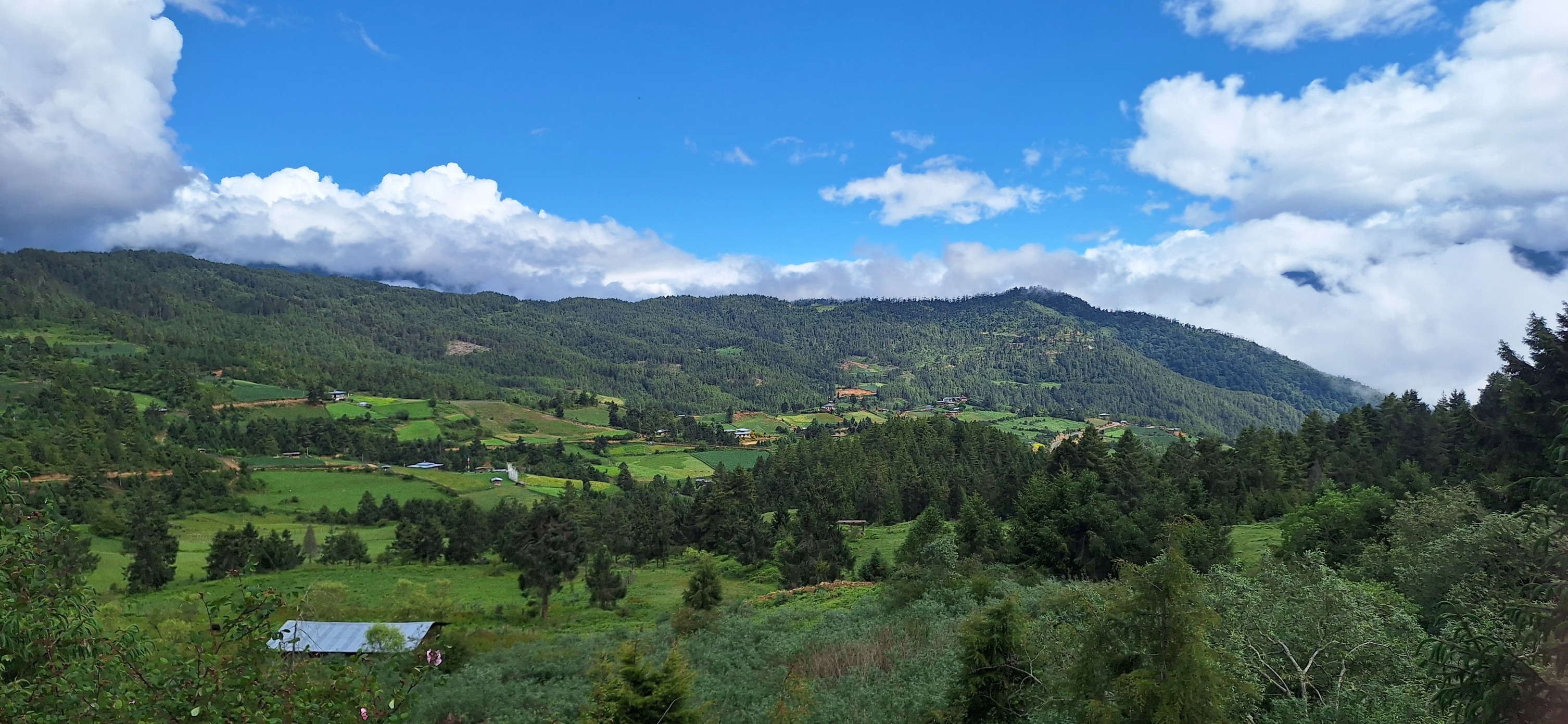 Pema Rinchen