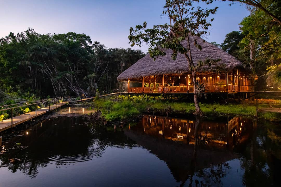 Sacha - Detox and cleanse in the Amazon rainforest? @sachalodge is well ...