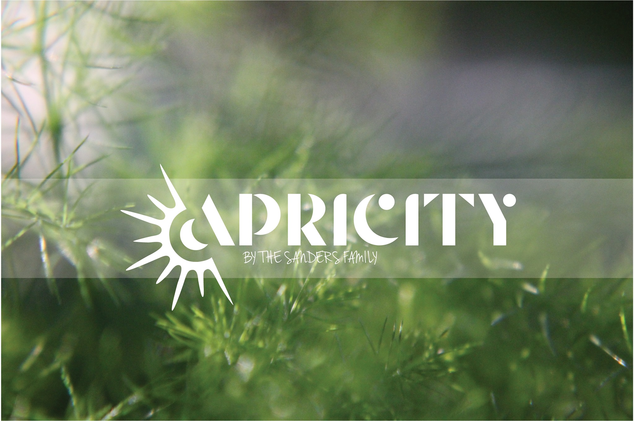 Apricity Home Design