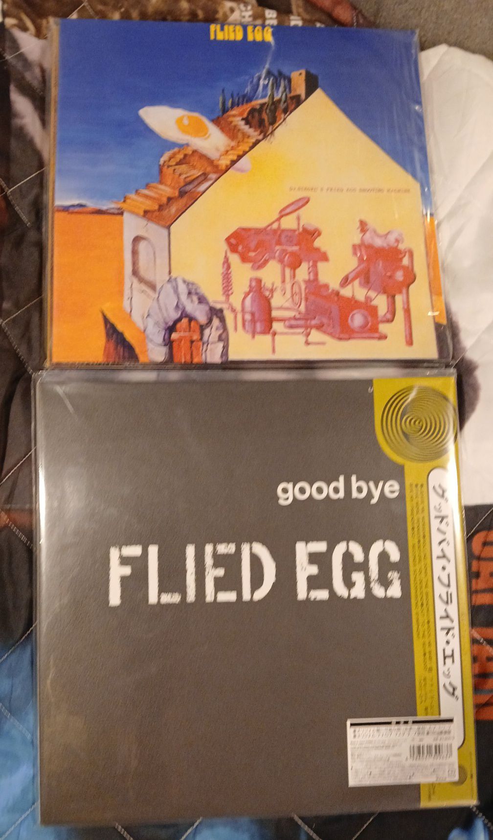 Flied Egg was a rock band from Japan, founded in 1972. In their