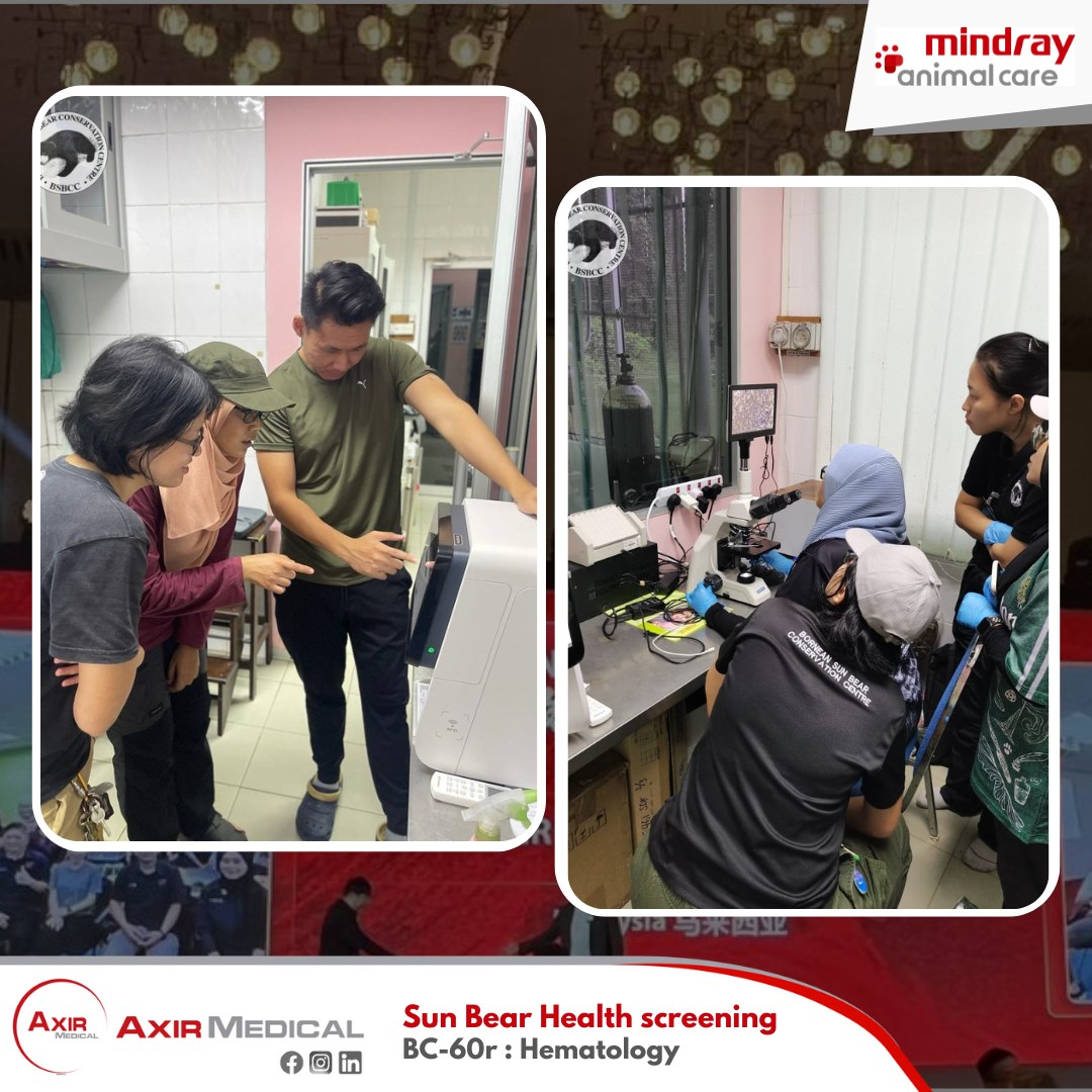 Axir Medical - 🌞🐻 We're thrilled and thankful to... | Facebook