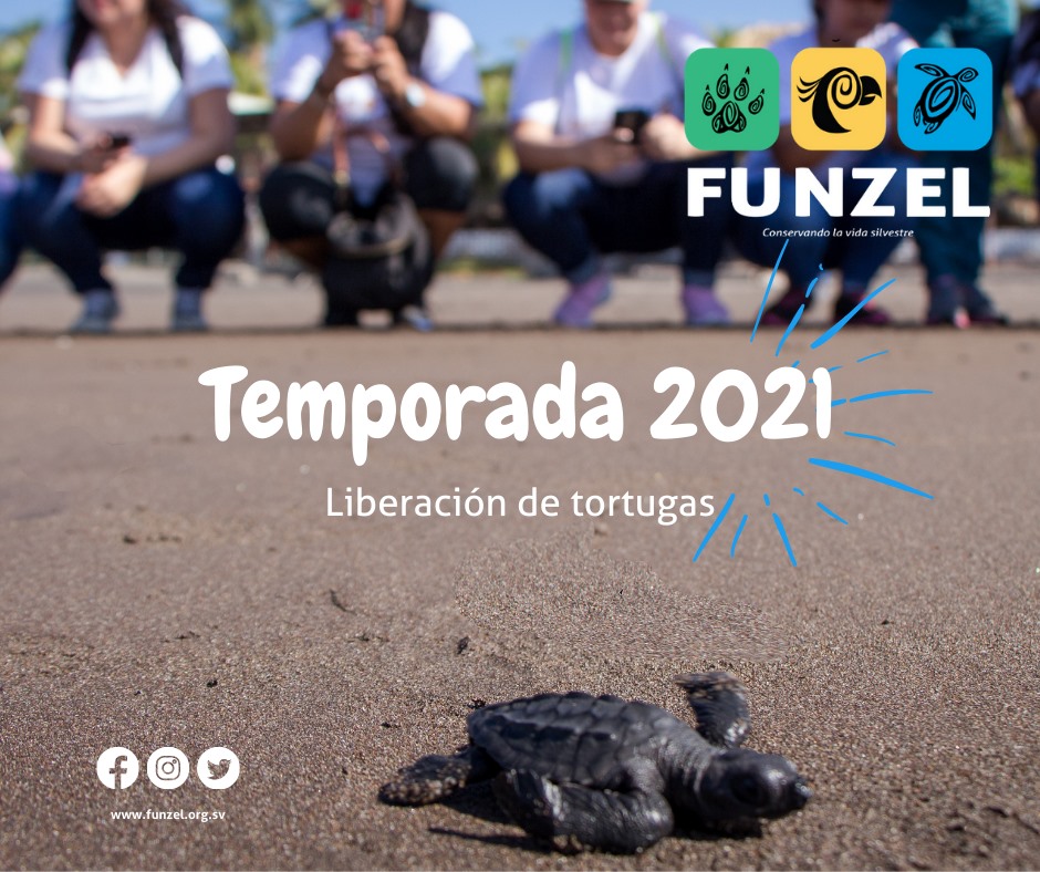 Funzel sv - ¡No lo olvides! Las inscripciones para nuestra liberación ...