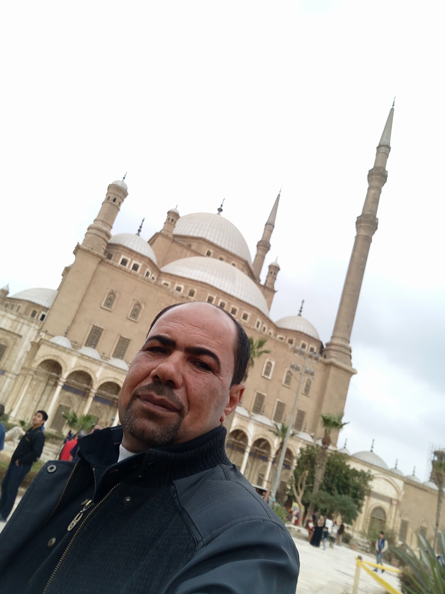 الخضرجى الانتاج الحيوانى - أغنام الرحماني النشأة نشأت بمنطقة الرحمانية ...