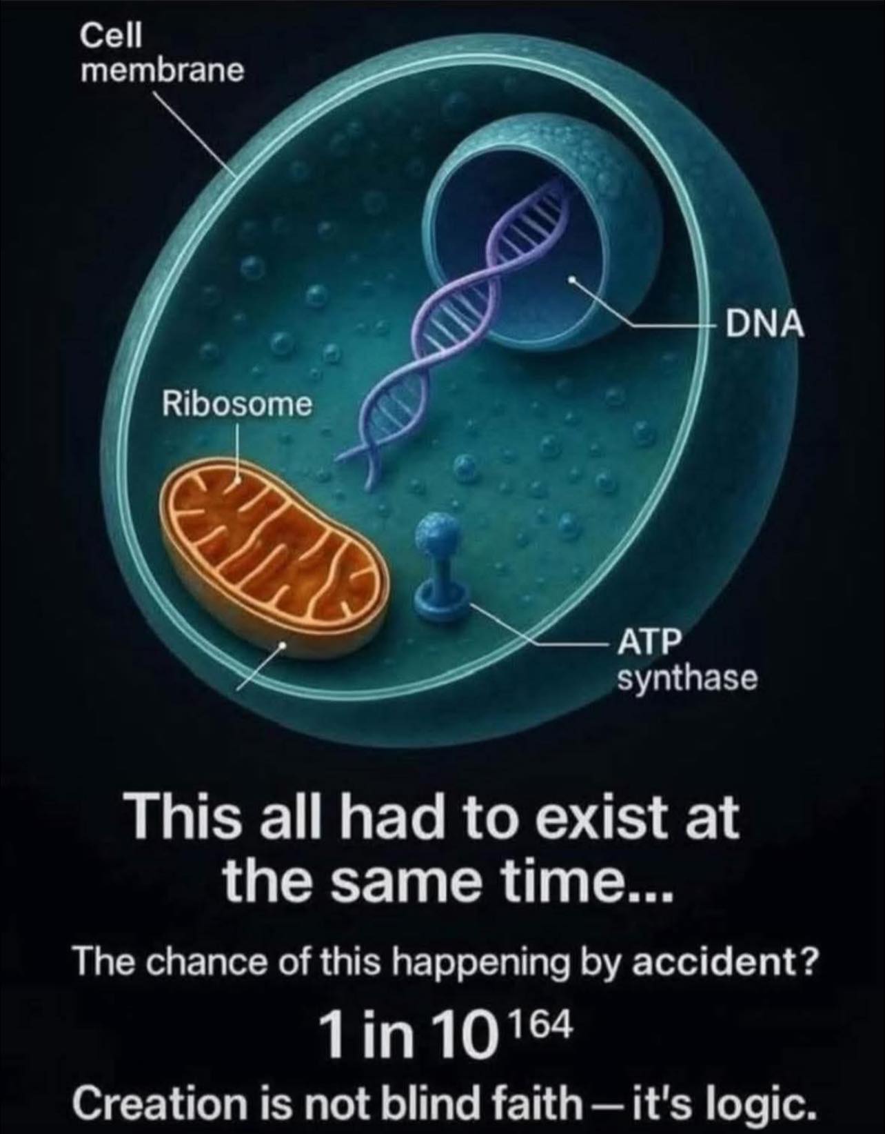 Evolution is not science