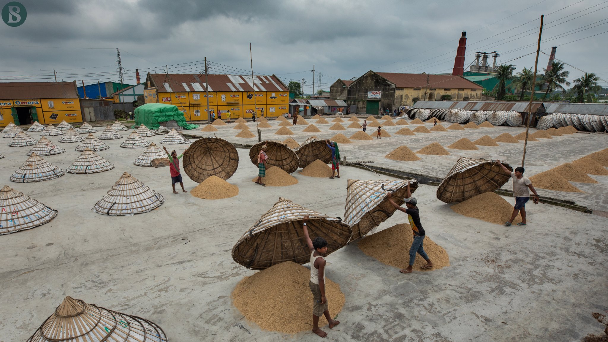The Business - Sun Drying Paddy in Monsoon Workers in a rice mill at ...