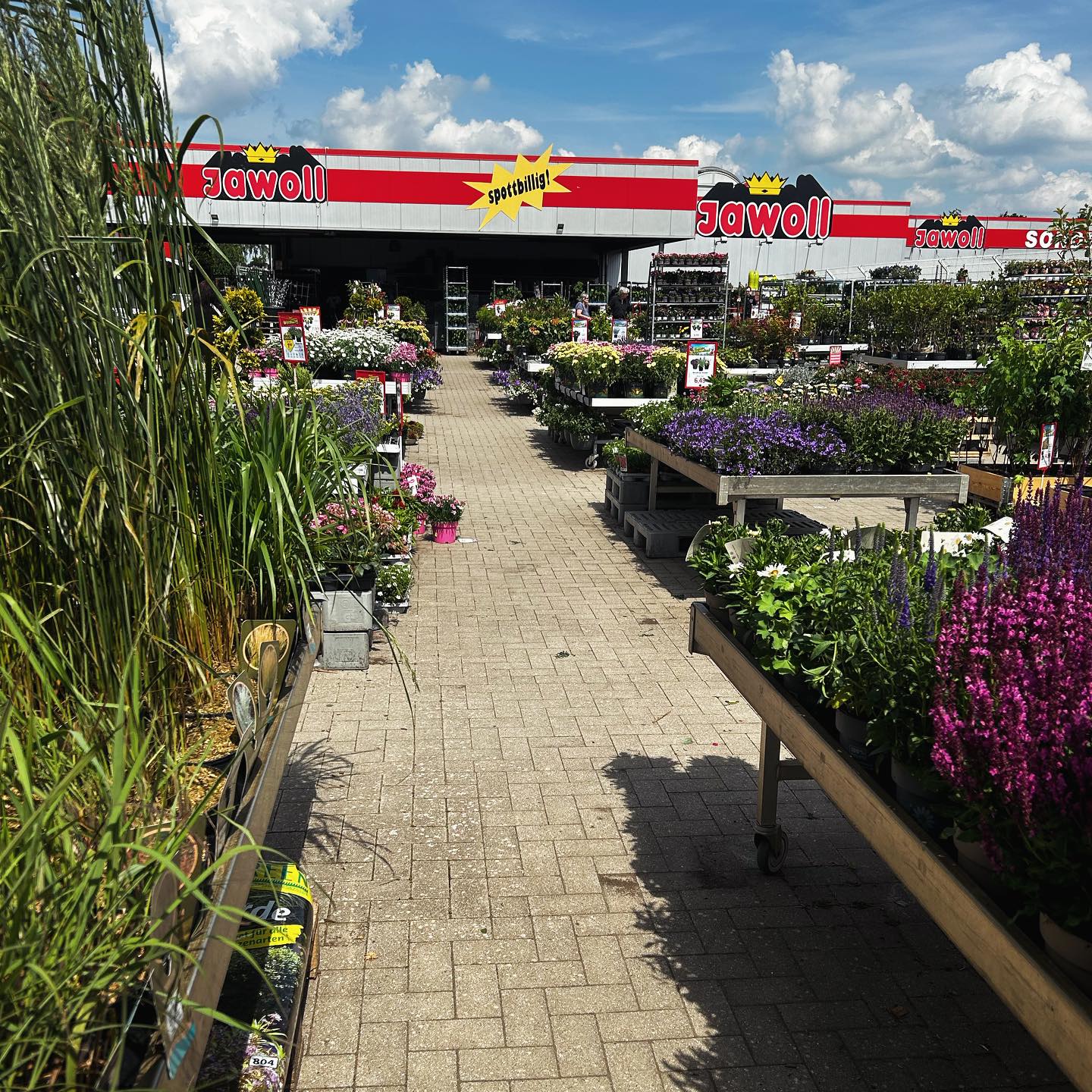 MIT EINEM STRAHLEN IN DEN GARTEN🪴 ** Unsere Kolleginnen und Kollegen 🤠 aus dem Pflanzenbereich warten auf euch und haben den Jawoll-Outdoorbereich schon groß bestückt 🍀💐🪷🌷🌸🌼. Aktuell bekommen wi