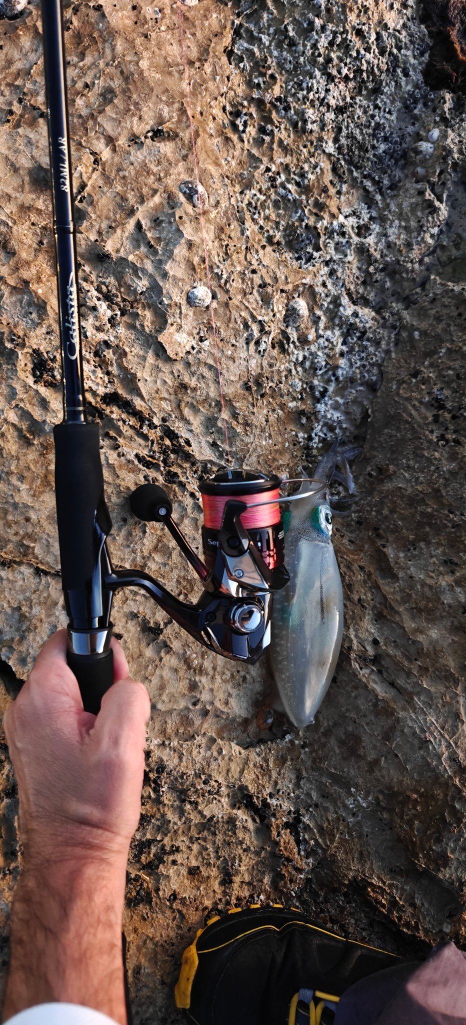 Has anyone tried the Yamaga Blanks Surf 99ml rod?