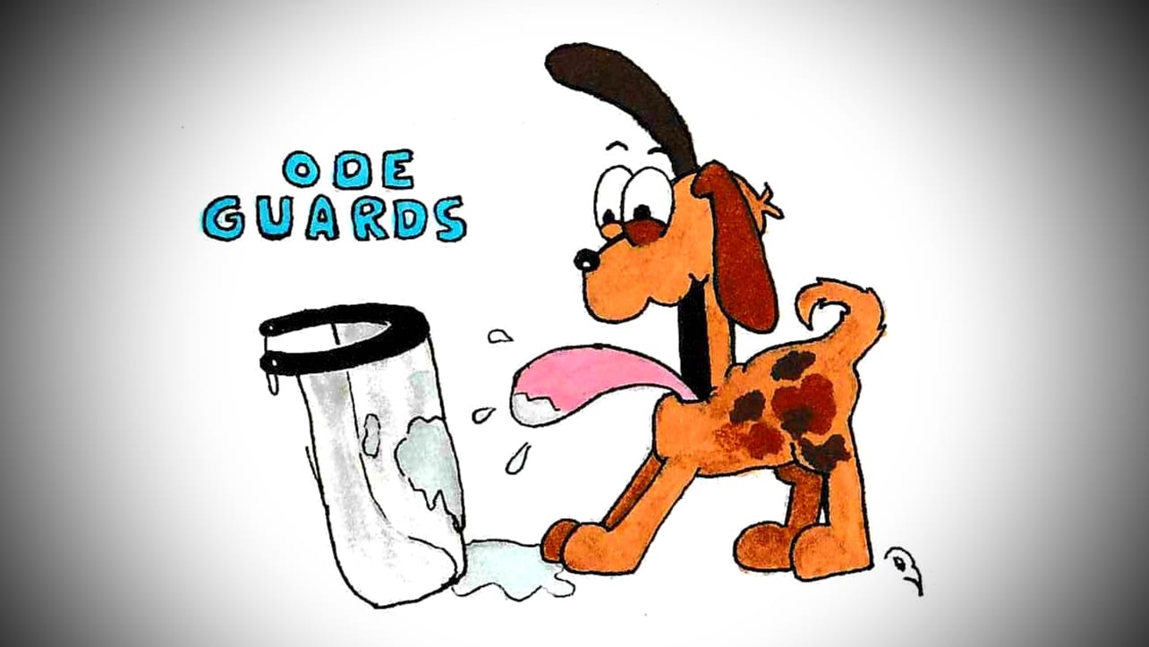 Old Guards - Old Guards added a new photo — with Scott Olgard.