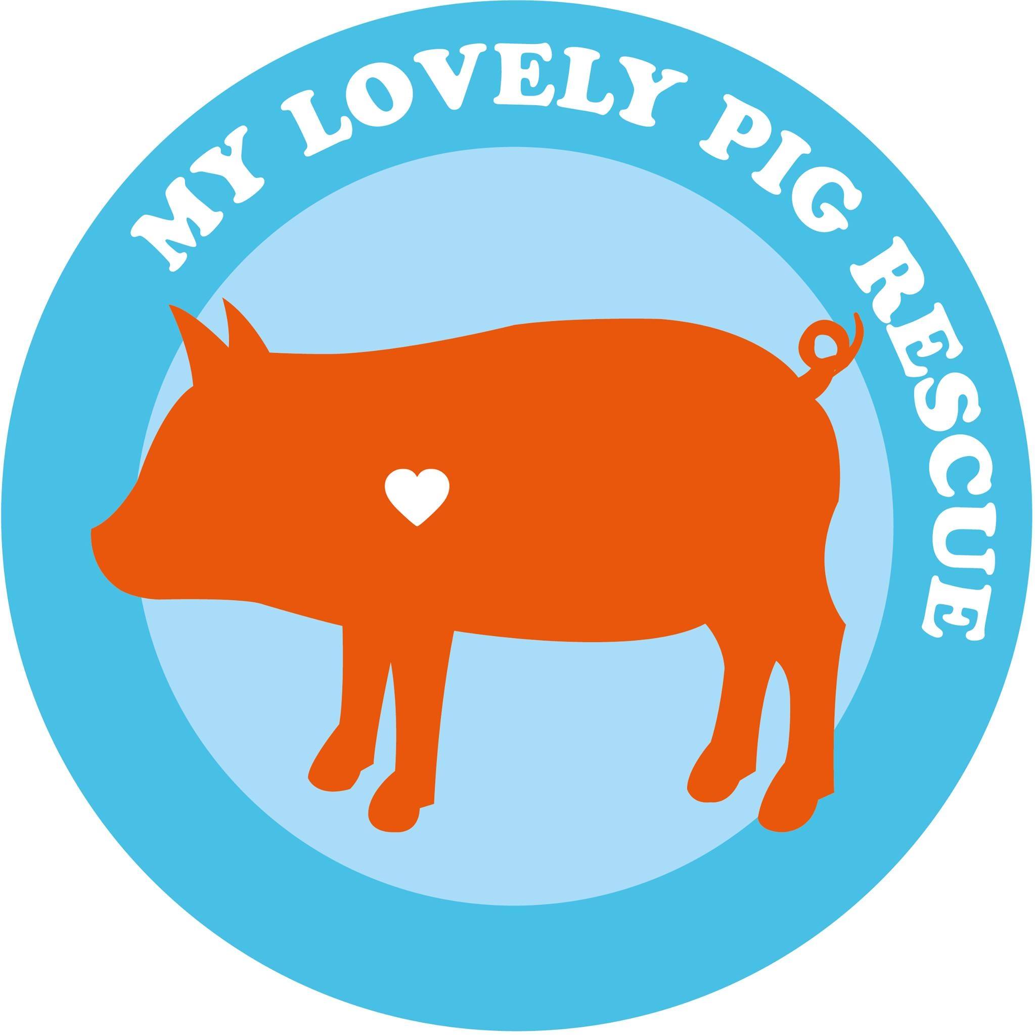 A heartbreaking day. We said... - My Lovely Pig Rescue | Facebook