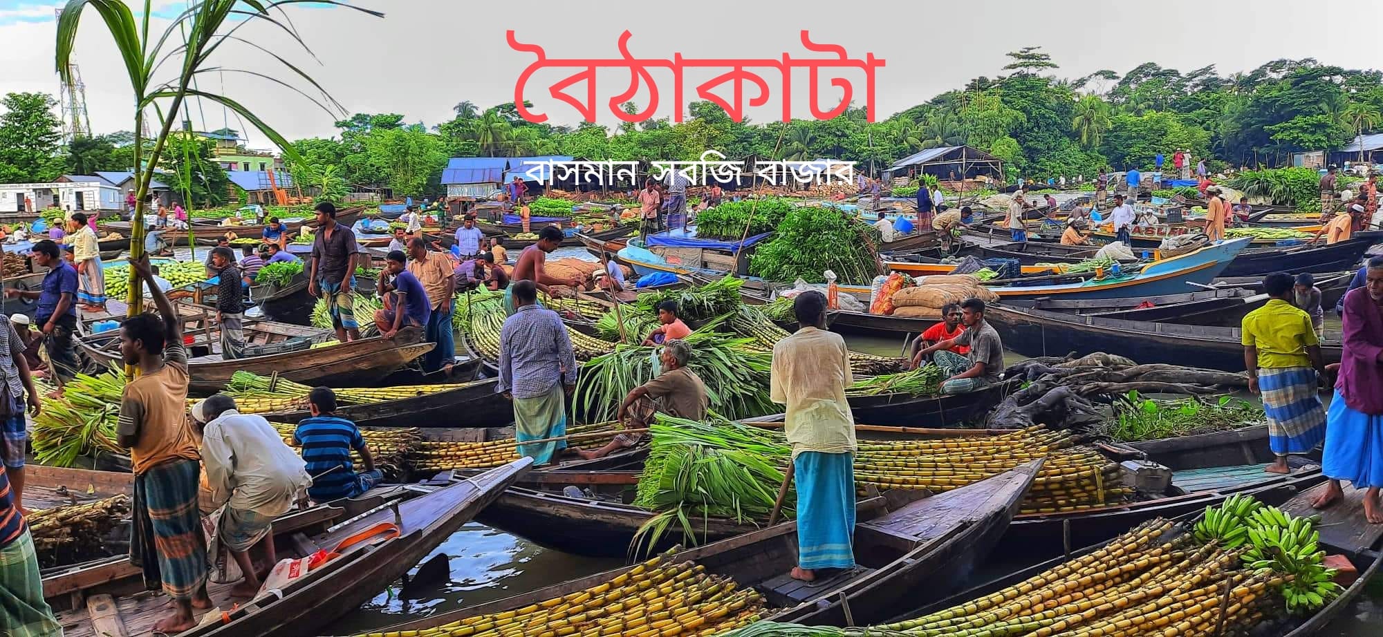 আমাদের বৈঠাকাটা