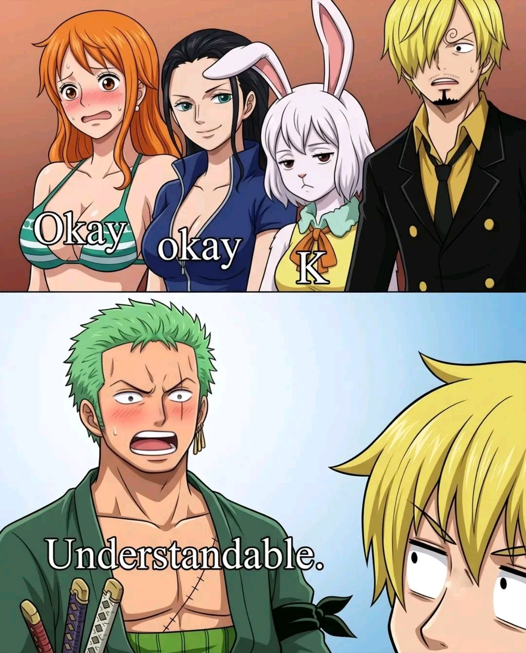 ワンピース meme One Piece meme shows Zoro claiming 110cm chest crown