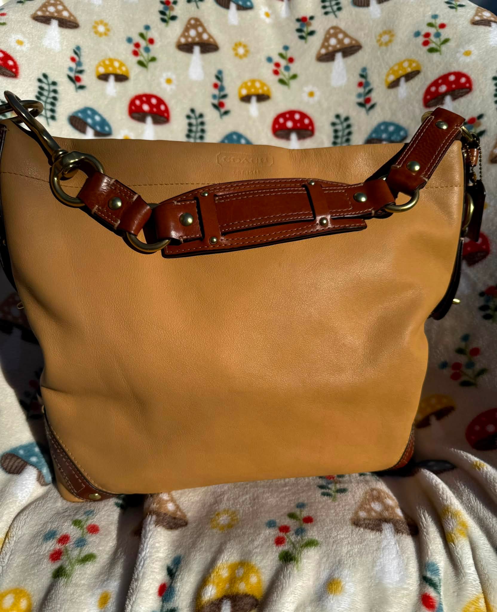Coach Carly #10616 bag for sale