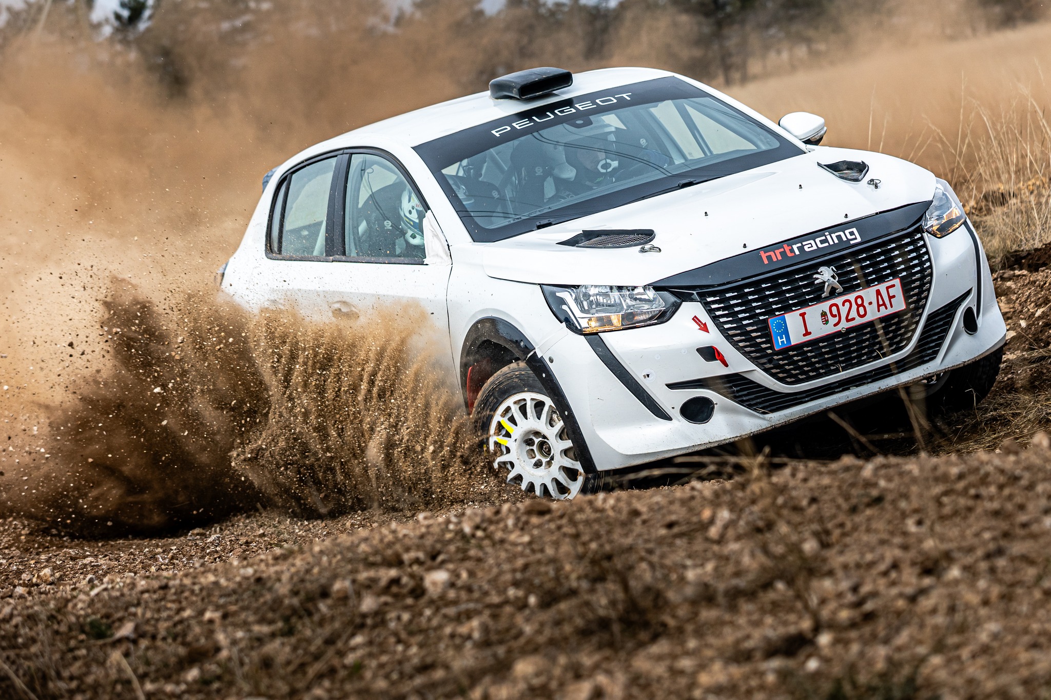 Hrt racing - Rally Hungary 2024 Test #1 - Aleksandar Tomov... | Facebook