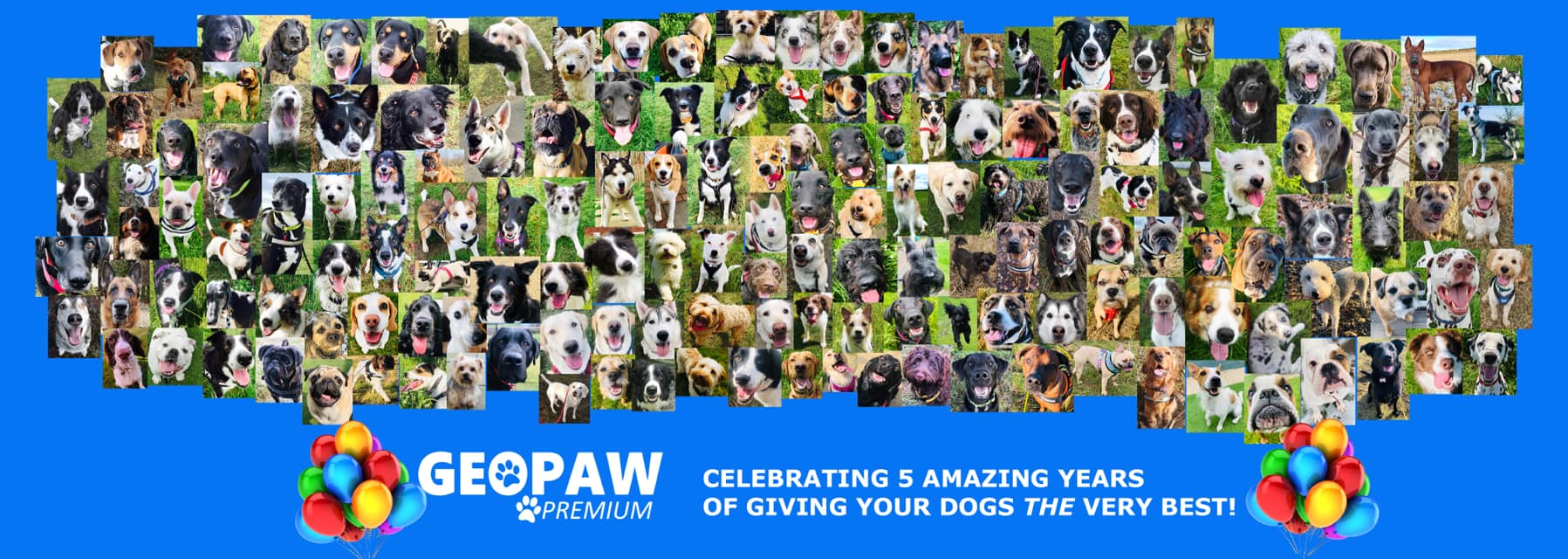 🍾 🥂 IT’S OUR 5th BIRTHDAY! 🎉🎈 Five!!... - Geopaw Cowdenbeath | Facebook