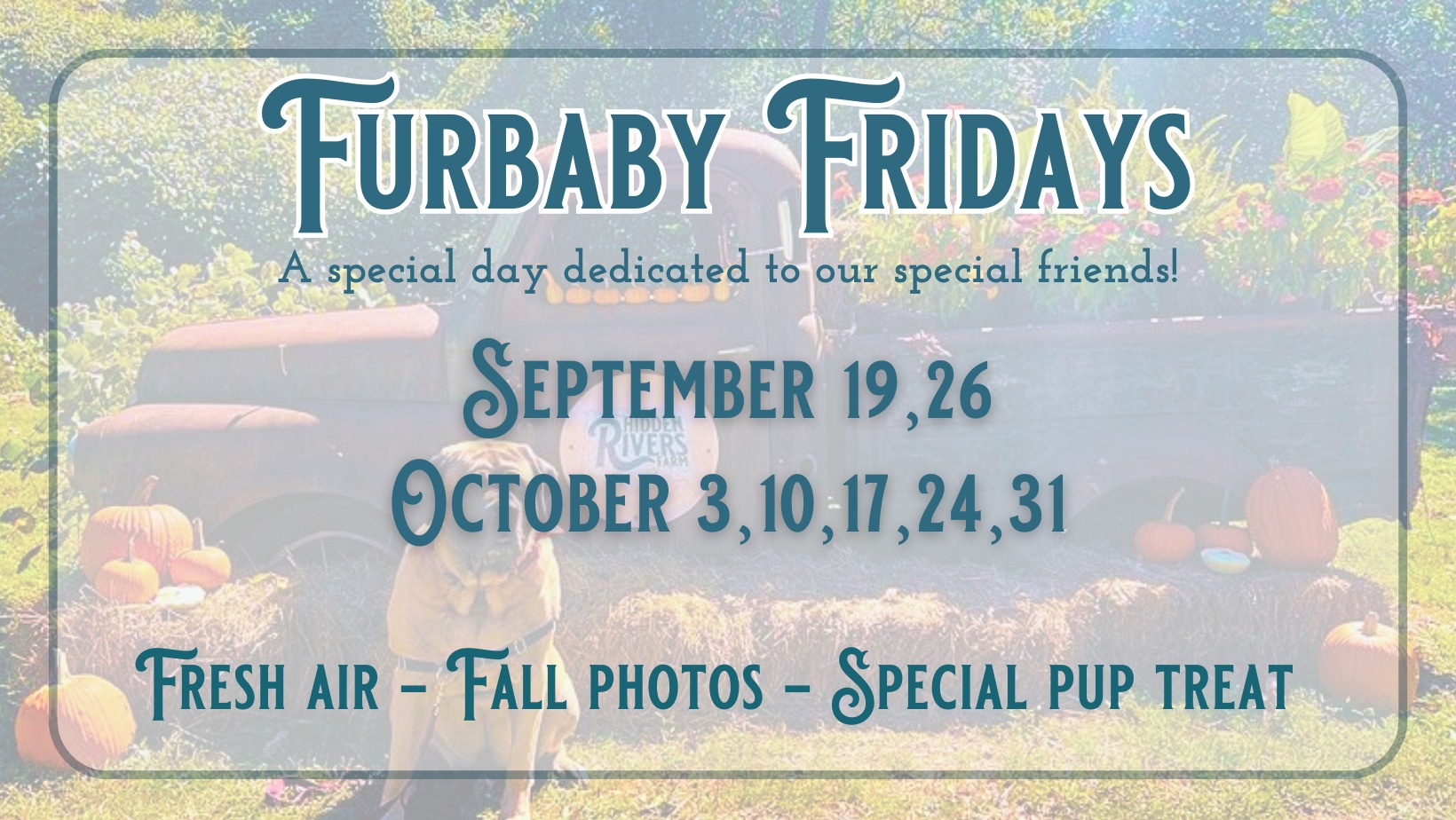 Furbaby Fridays at Hidden Rivers Farm