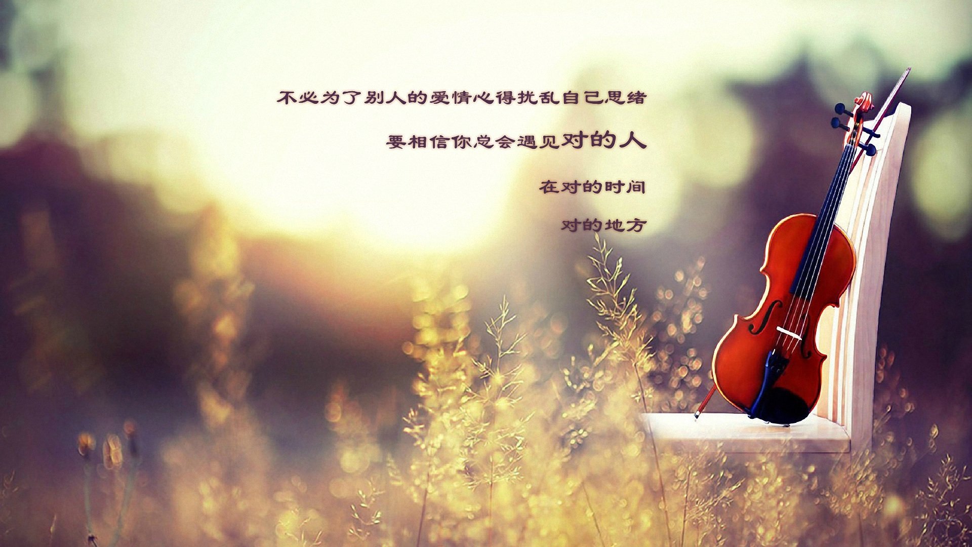 他的女人
