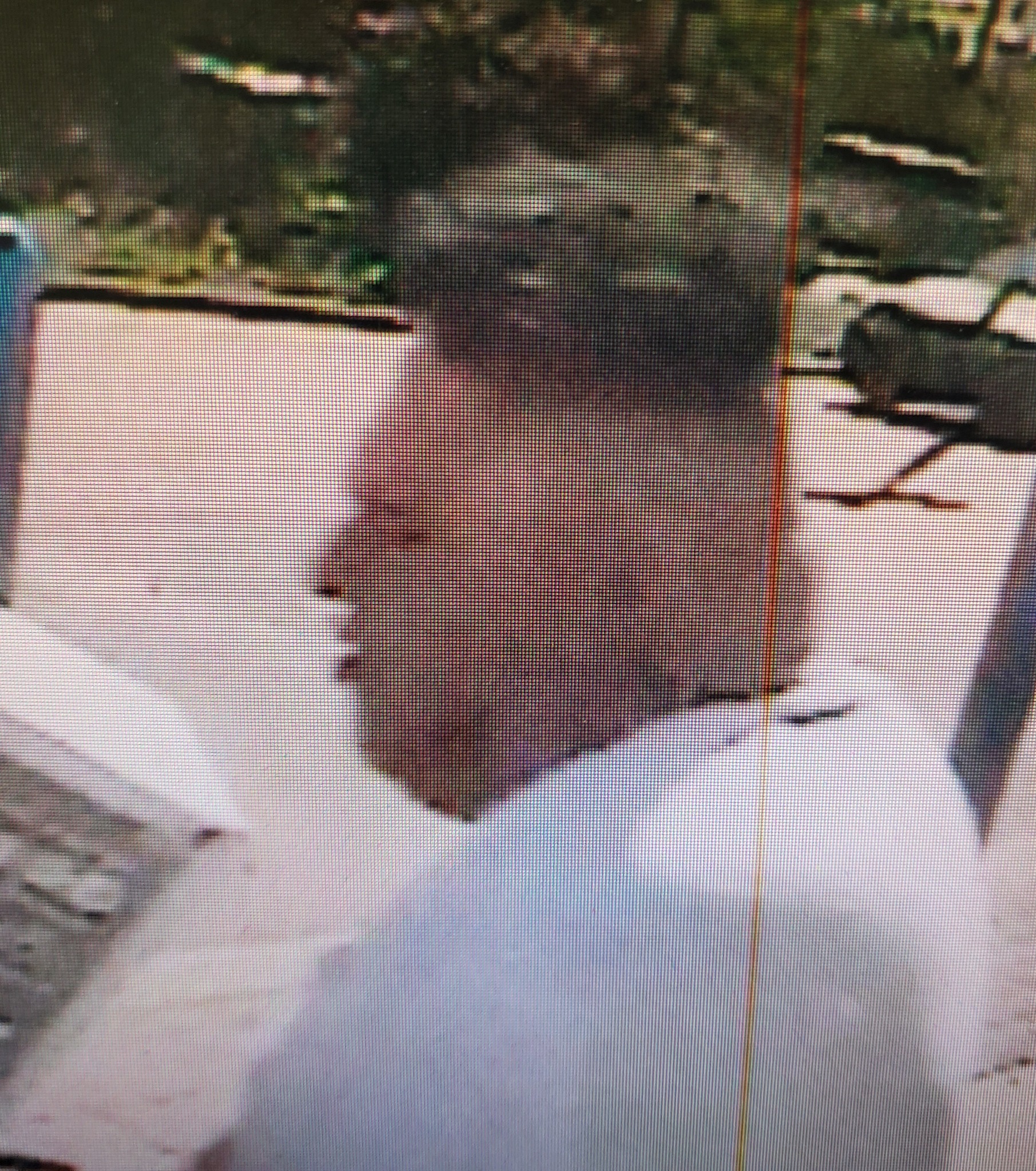 We are attempting to identify... - Gardner Police Department