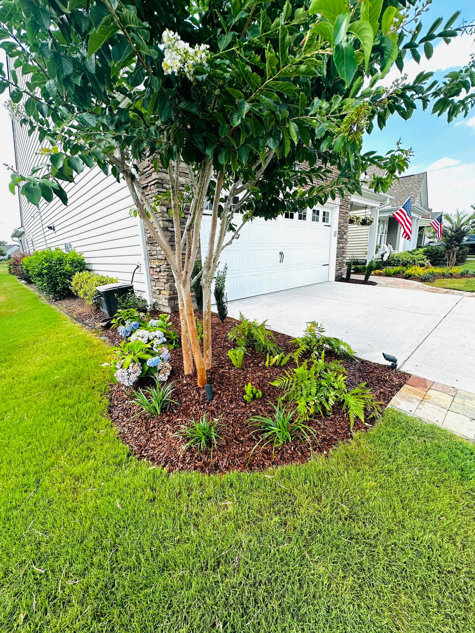 Carolina Blue Landscaping | Charleston SC