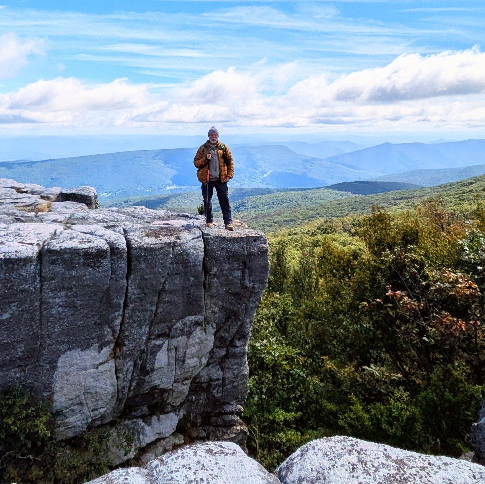 Dolly Sods | The Tree of Life | Facebook