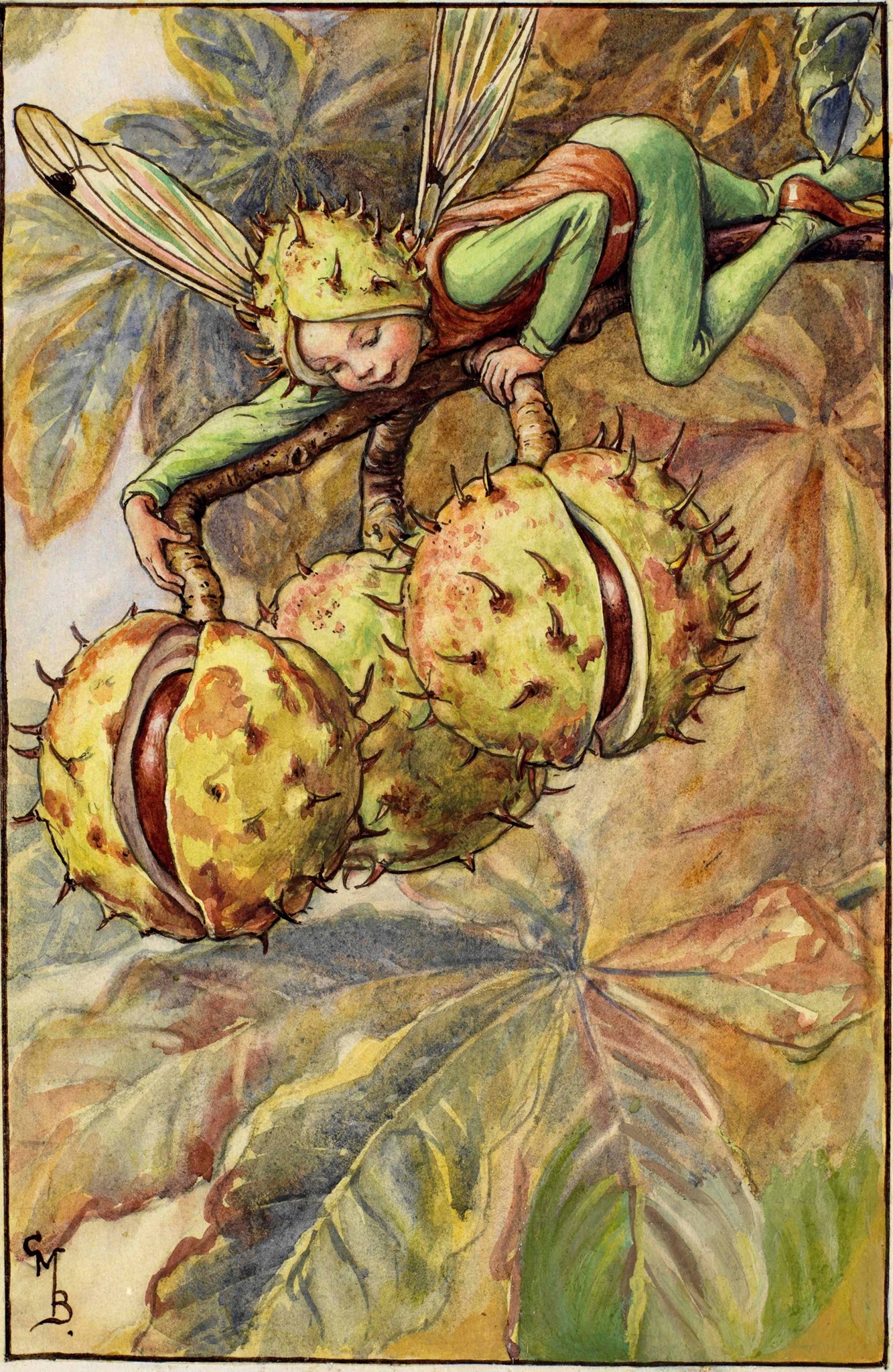 tis the season Horse Chestnut Fairy Artist - Cicely Mary Barker