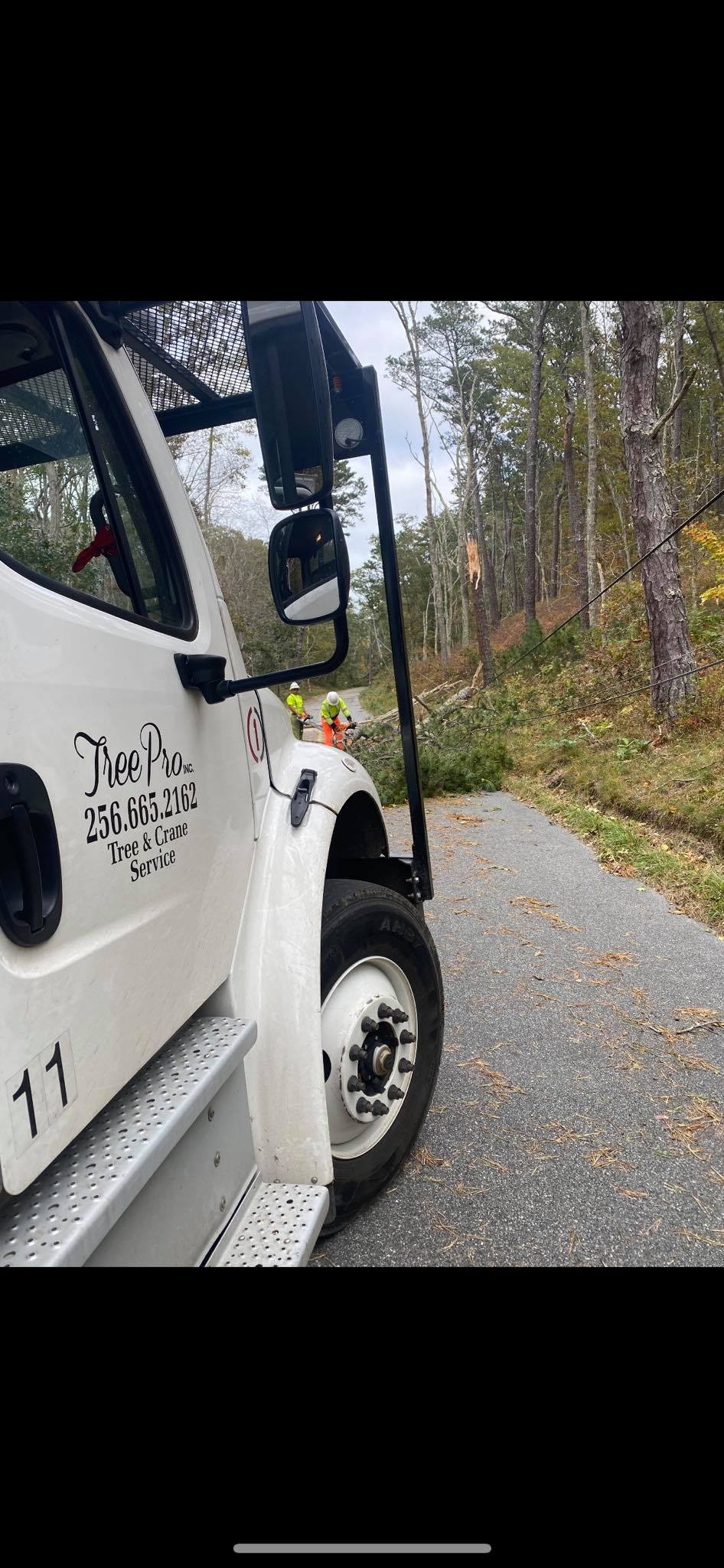 Tree Pro. Inc - Tree Pro Inc bucket crews helping clear...